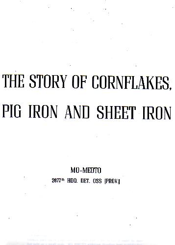 CornflakesPIron.jpg (22250 bytes)