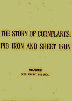 CornflakesPIronx.jpg (33474 bytes)