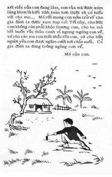 Tet2906B.jpg (19167 bytes)