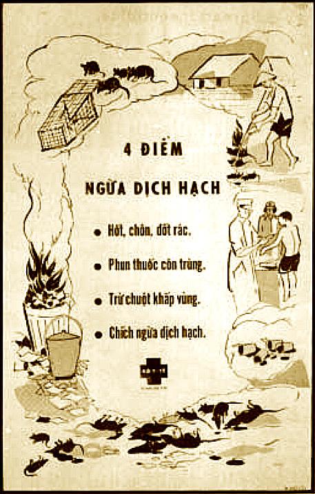 2771.jpg (78151 bytes)