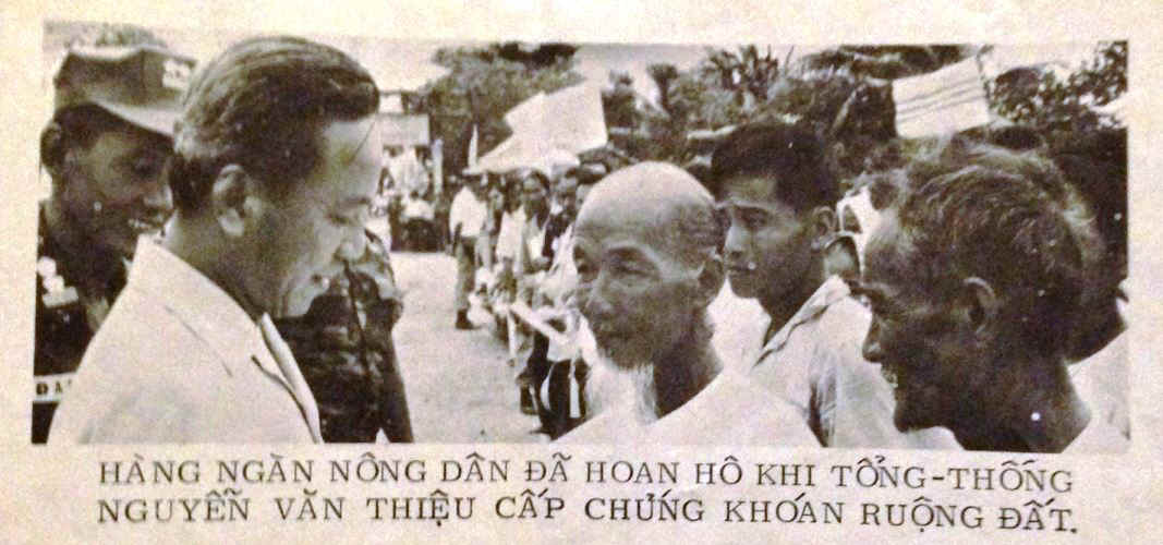 2841VNLeaf.jpg (103894 bytes)