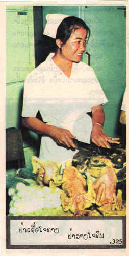 325laosfront.jpg (155438 bytes)