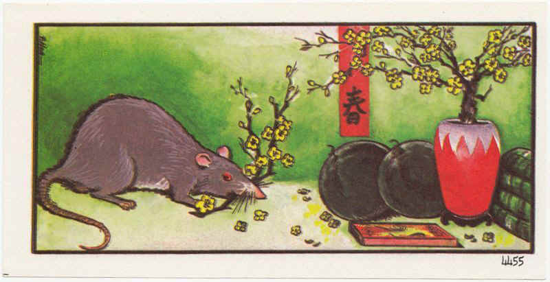 4455TetVN.jpg (147169 bytes)