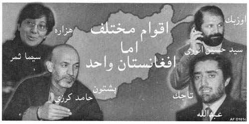 AFD101c.jpg (35328 bytes)