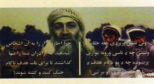 AFD103Back.jpg (31571 bytes)