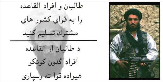 AFD113Back.jpg (71227 bytes)