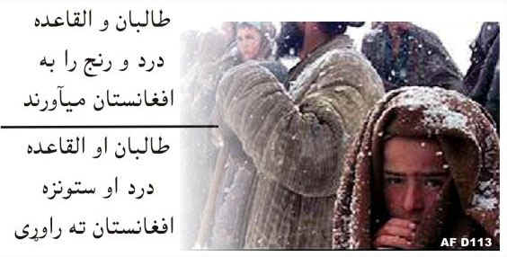 AFD113Front.jpg (74961 bytes)