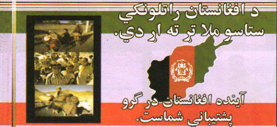 AFD171aBack.jpg (32284 bytes)