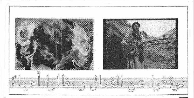 AFD48DfrontAfghan.jpg (252775 bytes)