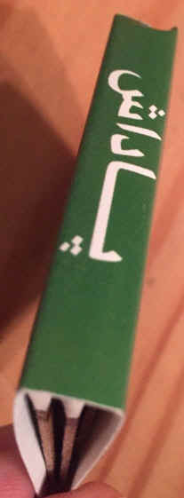 BinLadenMBFarsi03.jpg (50377 bytes)