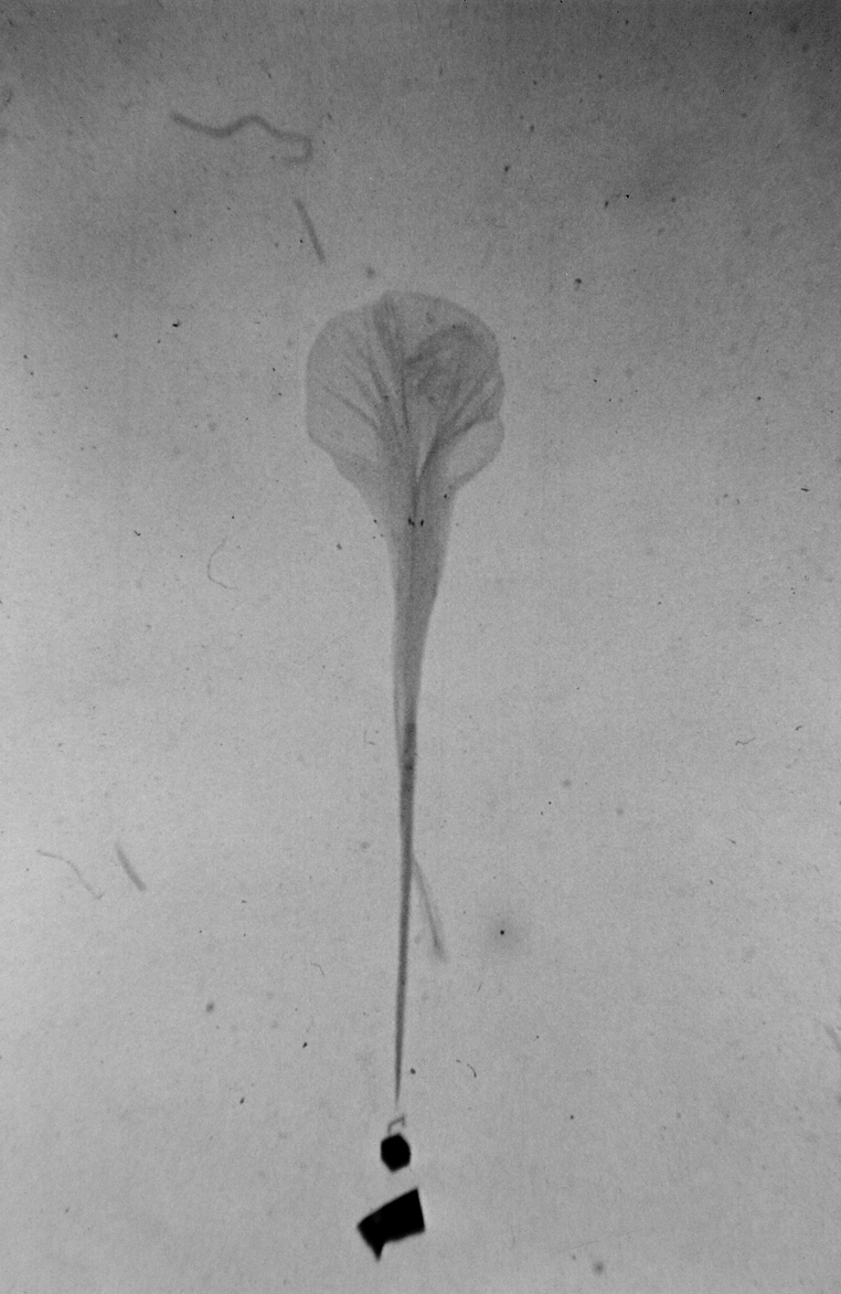 ChineseBalloon123.jpg (488286 bytes)