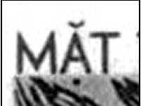 CompareVNForgery1.jpg (25384 bytes)