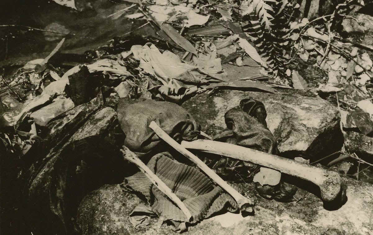 DaMaiBrookHue68.jpg (234059 bytes)