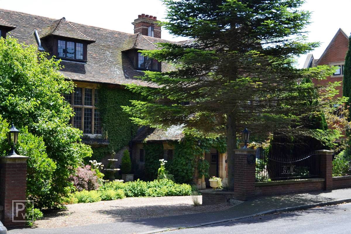 GeneralMeadowsBalloon.jpg (231441 bytes)