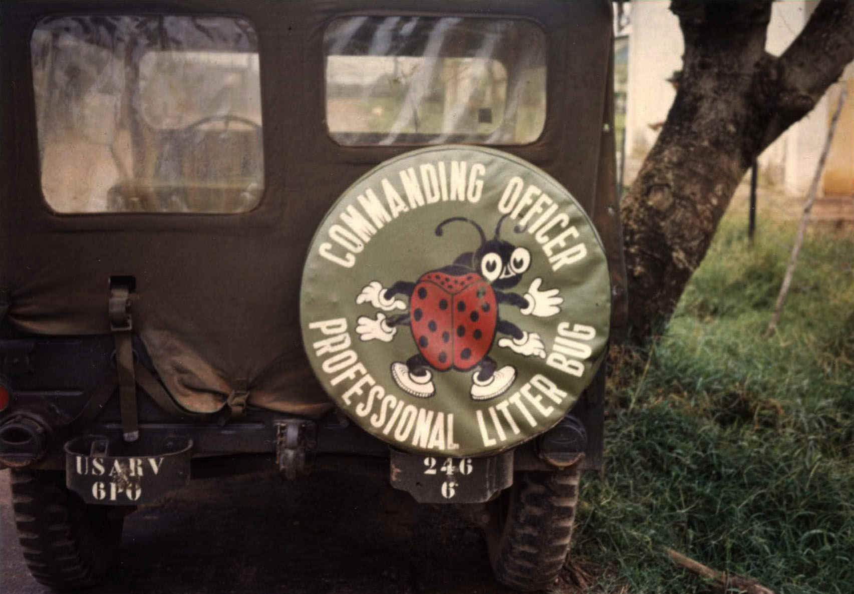 HQ6LitterBugs.jpg (140163 bytes)