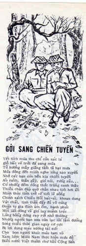 NVN82.jpg (74474 bytes)