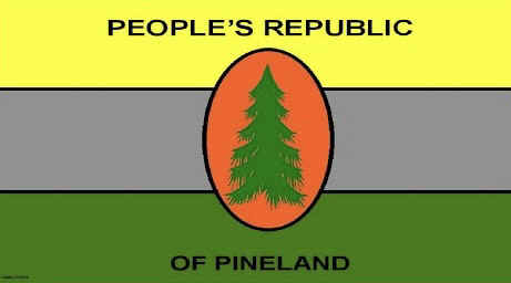 PinelandGovernmentFlag.jpg (28591 bytes)