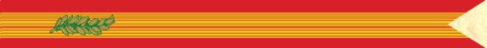 RepublicofVNCrossGallantry01S.jpg (8991 bytes)