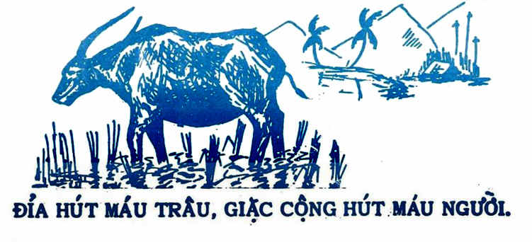 RiceDenial7POBLeaflet.jpg (148498 bytes)