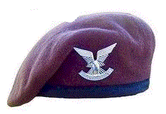SelousBeretInsignia.gif (12149 bytes)