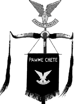 SelousScoutStandard.gif (11903 bytes)