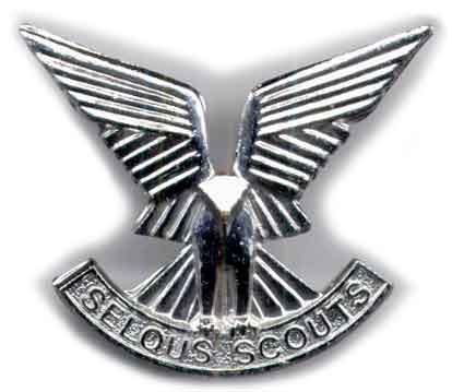 SelousScoutscapbadge.jpg (17587 bytes)