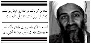 TF11RP05dpb.jpg (10574 bytes)