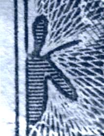 TurtleCloseUp.jpg (13603 bytes)