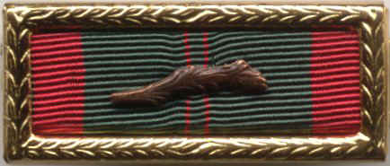 VietnamAward0X1.JPG (34915 bytes)