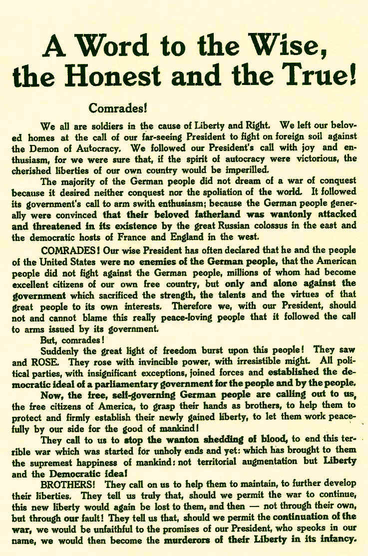 WordtotheWiseWWI.jpg (483322 bytes)