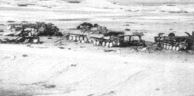 desertfox2f.jpg (14317 bytes)