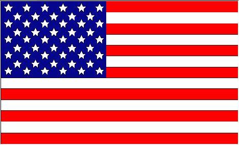 flagUSART.jpg (25032 bytes)